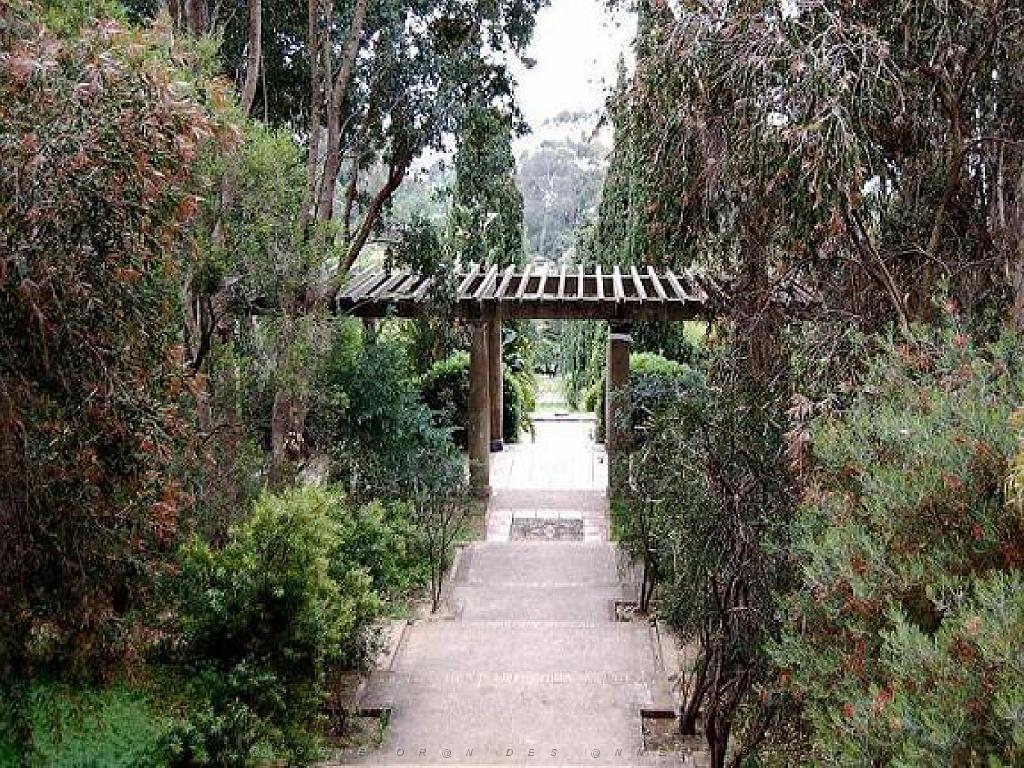 183 D26 Rayol Canadel 1_000031.jpg